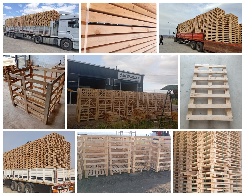 Kralingse Veer Houten Kisten, Europallets Groothandel Kopen